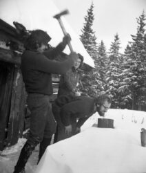 Listopad,73. Wojtek, Ewa, Leszek. Panowie uzgadniają stanowiska na temat pieńka.