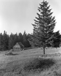 Sierpień'73. Schodząc z Gęsiej.