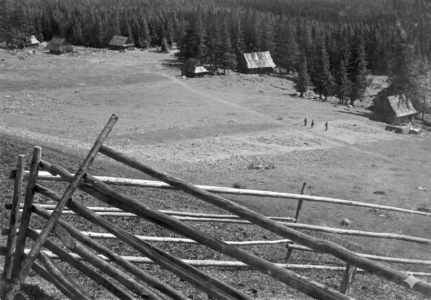 Rok 1970 lub wcześniej. Szałasy na dole Rusinowej Polany.
