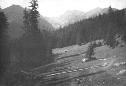 Sierpień 1967. Z dolnych rejonów Rusinki tędy ruszało się ku Waksmundzkiemu Potokowi i dalej. Widok na Koszystą i okolicę.