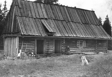 Rok 1970 lub wcześniej. Babka przed starym szałasem, który spłonął w styczniu 1972.