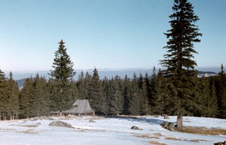 Grudzień'71.
