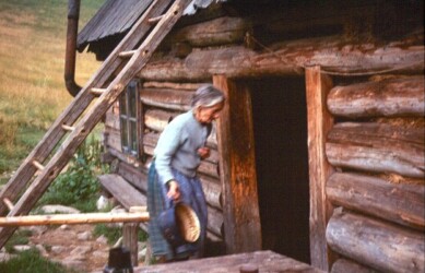 Sierpień'77. Babka.