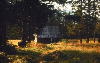 Sierpień'79. Kiczowaty obrazek z Goliasem.