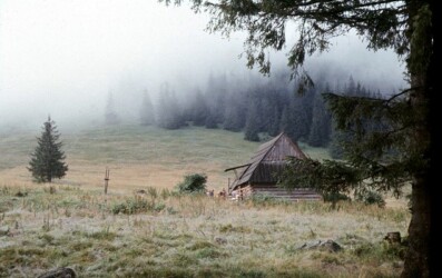 Sierpień'77. Jeszcze parę kroków...