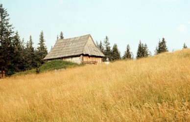 Sierpień'79. Koliba.